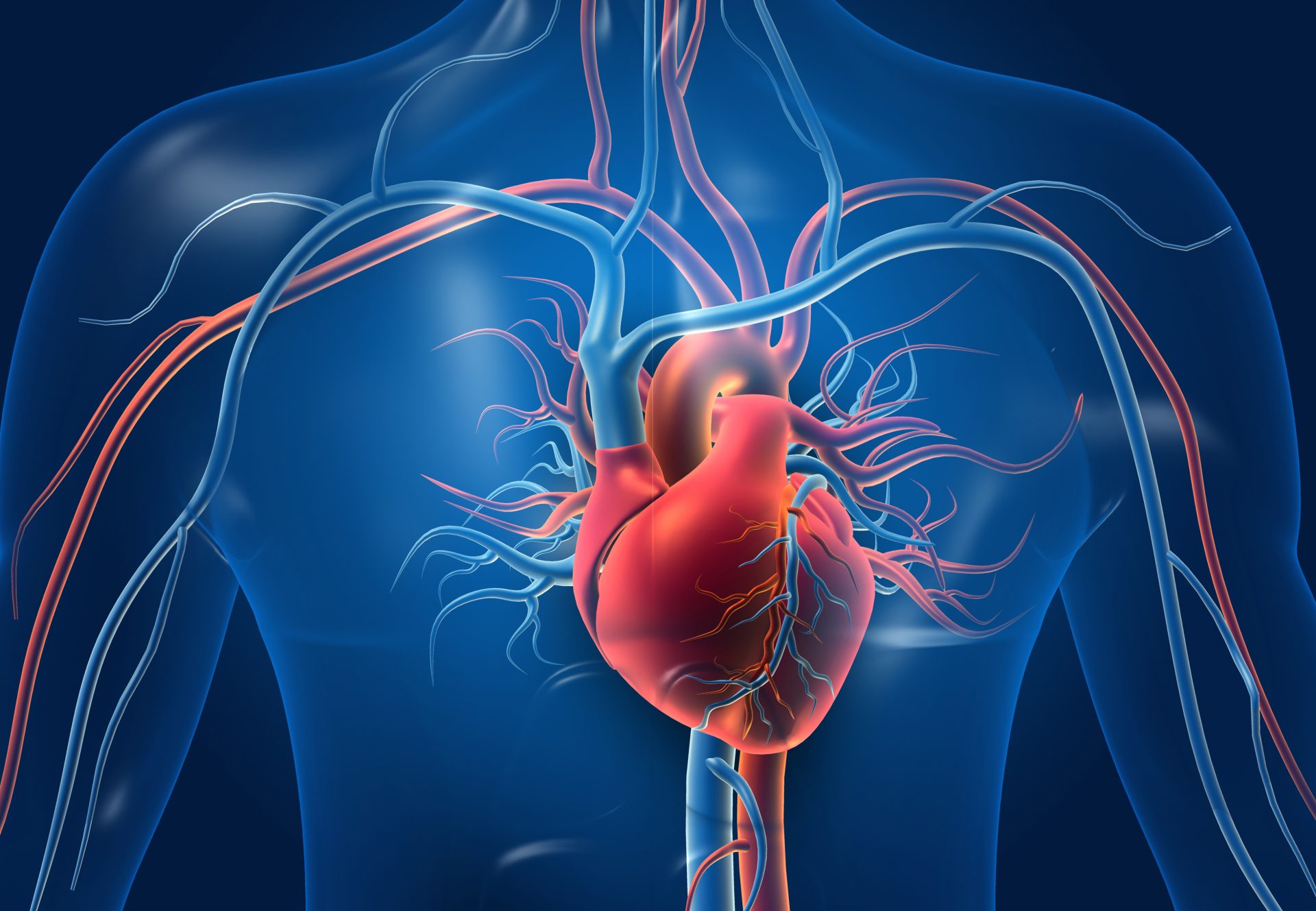 Coronary Heart Diseases